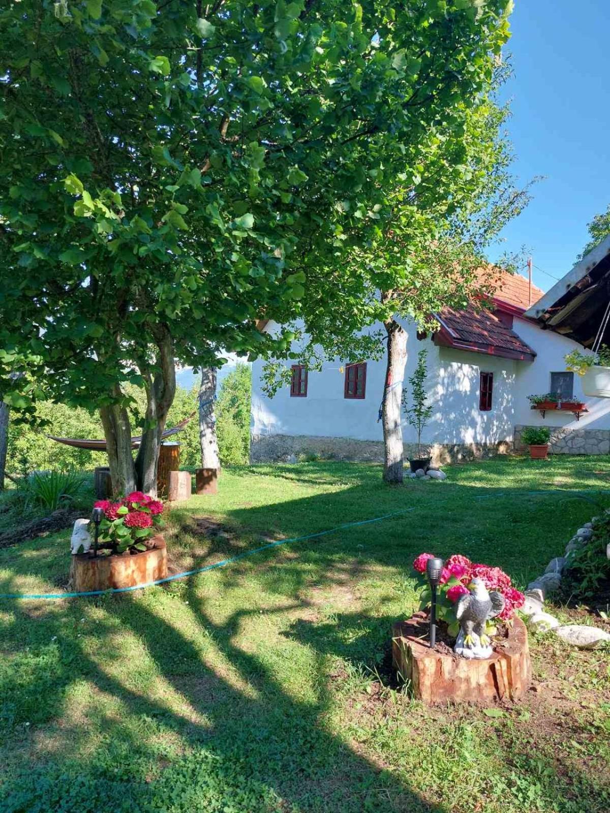 Etno Guest House Lalovic Tjentiste Exterior photo